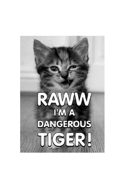 Толстовка Dangerous Tiger, свитшот Dangerous Tiger, футболка Dangerous Tiger