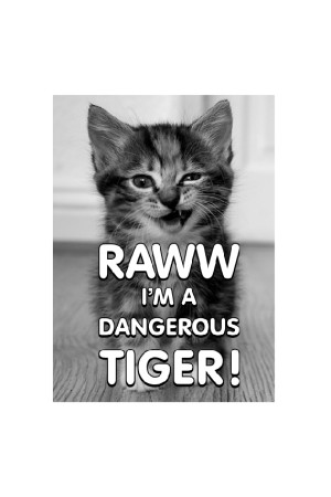 Худи Dangerous Tiger, свитшот Dangerous Tiger, футболка Dangerous Tiger