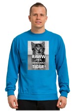 Худи Dangerous Tiger, свитшот Dangerous Tiger, футболка Dangerous Tiger