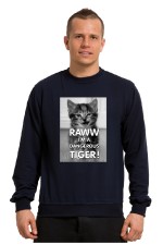 Худи Dangerous Tiger, свитшот Dangerous Tiger, футболка Dangerous Tiger