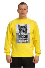Худи Dangerous Tiger, свитшот Dangerous Tiger, футболка Dangerous Tiger