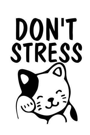 Худи с котом Dont stress, свитшот с котом Dont stress, футболка с котом Dont stress