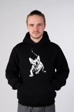  Худи с принтом Голубоглазый кот, свитшот с принтом Голубоглазый кот, футболка с принтом Голубоглазый кот