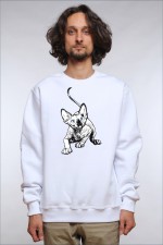  Худи с принтом Голубоглазый кот, свитшот с принтом Голубоглазый кот, футболка с принтом Голубоглазый кот