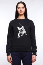  Худи с принтом Голубоглазый кот, свитшот с принтом Голубоглазый кот, футболка с принтом Голубоглазый кот