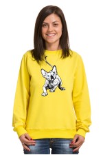  Худи с принтом Голубоглазый кот, свитшот с принтом Голубоглазый кот, футболка с принтом Голубоглазый кот