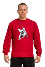  Худи с принтом Голубоглазый кот, свитшот с принтом Голубоглазый кот, футболка с принтом Голубоглазый кот