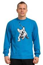  Худи с принтом Голубоглазый кот, свитшот с принтом Голубоглазый кот, футболка с принтом Голубоглазый кот