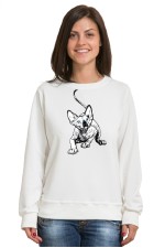  Худи с принтом Голубоглазый кот, свитшот с принтом Голубоглазый кот, футболка с принтом Голубоглазый кот