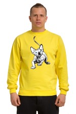  Худи с принтом Голубоглазый кот, свитшот с принтом Голубоглазый кот, футболка с принтом Голубоглазый кот