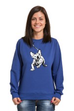  Худи с принтом Голубоглазый кот, свитшот с принтом Голубоглазый кот, футболка с принтом Голубоглазый кот