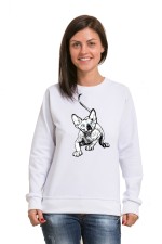  Худи с принтом Голубоглазый кот, свитшот с принтом Голубоглазый кот, футболка с принтом Голубоглазый кот