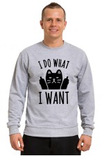  Худи, свитшот или футболка с принтом  I do what I want с котом