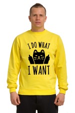  Худи, свитшот или футболка с принтом  I do what I want с котом