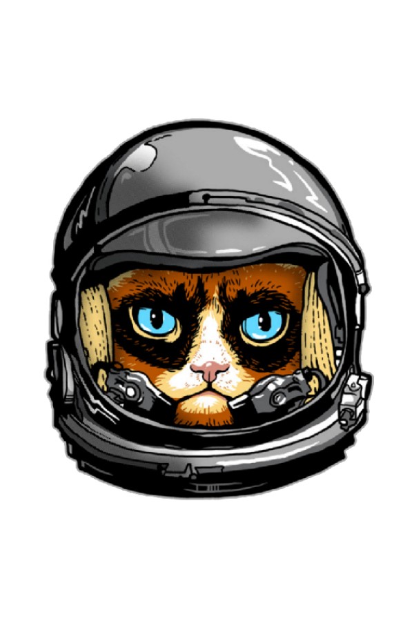 Толстовка Космокот, свитшот Космокот, футболка Космокот