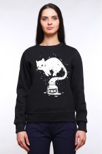  Худи с принтом Кот Джин, свитшот с принтом Кот Джин, футболка с принтом Кот Джин