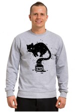  Худи с принтом Кот Джин, свитшот с принтом Кот Джин, футболка с принтом Кот Джин