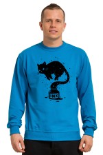  Худи с принтом Кот Джин, свитшот с принтом Кот Джин, футболка с принтом Кот Джин