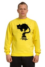  Худи с принтом Кот Джин, свитшот с принтом Кот Джин, футболка с принтом Кот Джин