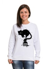  Худи с принтом Кот Джин, свитшот с принтом Кот Джин, футболка с принтом Кот Джин