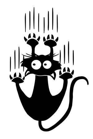 Худи с котом, свитшот с котом, футболка с котом