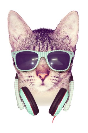 Худи Кот в наушниках, свитшот Кот в наушниках, футболка Кот в наушниках