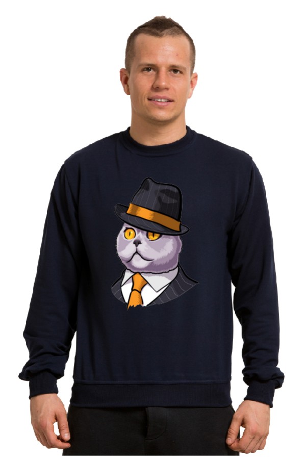  Толстовка с принтом Кот в шляпе, свитшот с принтом Кот в шляпе, футболка с принтом Кот в шляпе