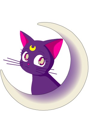 Худи с Luna, свитшот с Luna, футболка с Luna