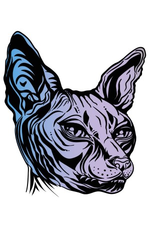 Худи Кот Ориентал, свитшот Кот Ориентал, футболка Кот Ориентал