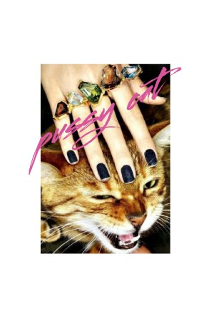 Худи Pussy cat, свитшот Pussy cat, футболка Pussy cat