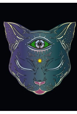 Толстовка Кот с третьим глазом, свитшот Кот с третьим глазом, футболка Кот с третьим глазом