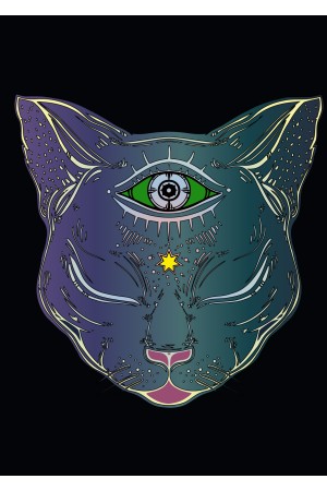 Худи Кот с третьим глазом, свитшот Кот с третьим глазом, футболка Кот с третьим глазом