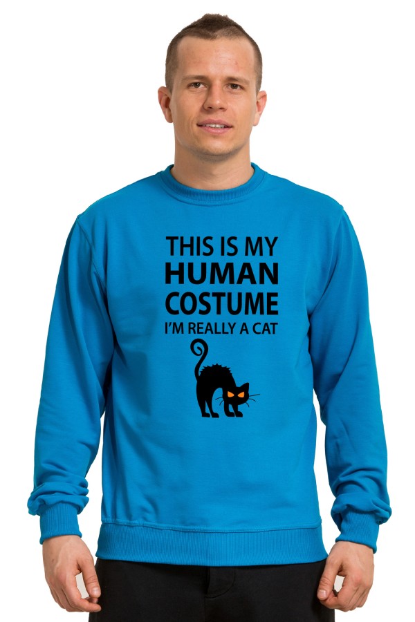  Толстовка-худи с надписью I'm really a cat, свитшот I'm really a cat, футболка I'm really a cat