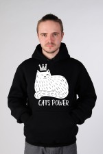 Cat's power