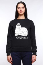 Cat's power