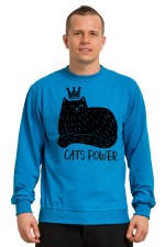 Cat's power