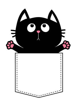 Худи Кот в кармане, свитшот Кот в кармане, футболка Кот в кармане