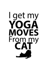 Толстовка, свитшот, футболка I got my yoga moves from my cat