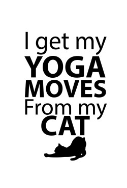 Толстовка, свитшот, футболка I got my yoga moves from my cat