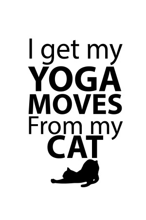 Толстовка, свитшот, футболка I got my yoga moves from my cat