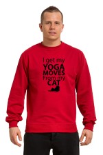 Толстовка, свитшот, футболка I got my yoga moves from my cat