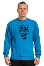 Толстовка, свитшот, футболка I got my yoga moves from my cat