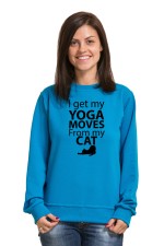 Толстовка, свитшот, футболка I got my yoga moves from my cat
