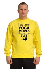 Толстовка, свитшот, футболка I got my yoga moves from my cat