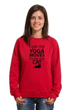Толстовка, свитшот, футболка I got my yoga moves from my cat