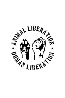 Толстовка, свитшот, футболка с надписью Animan Liberation - Human Liberation
