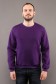  Purple Sweatshirt Man Winter S-46-Unisex-(Мужской)    Мужской свитшот фиолетовый утепленный с начесом 