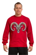 Толстовка, свитшот, футболка с принтом Баран в этническом стиле