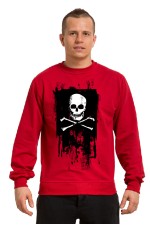 Толстовка, свитшот, футболка Череп с костями