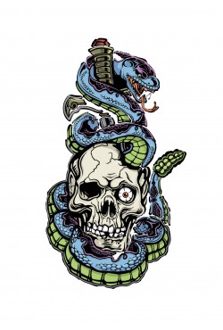 Толстовка череп со змеей, свитшот череп со змеей, футболка череп со змеей